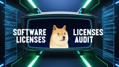 Doge Software Licenses Audit HUD